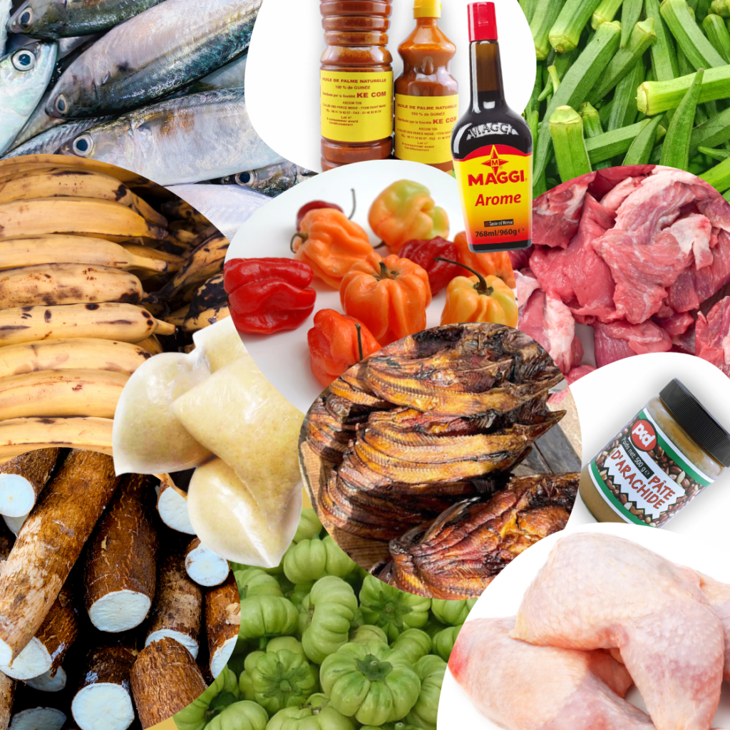 Tropical concept grossiste alimentaire professionnels